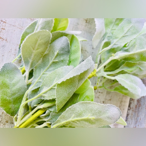 *Lamb’s Ear Pick, 13”, Bundle of 3 - Picture 3 of 13